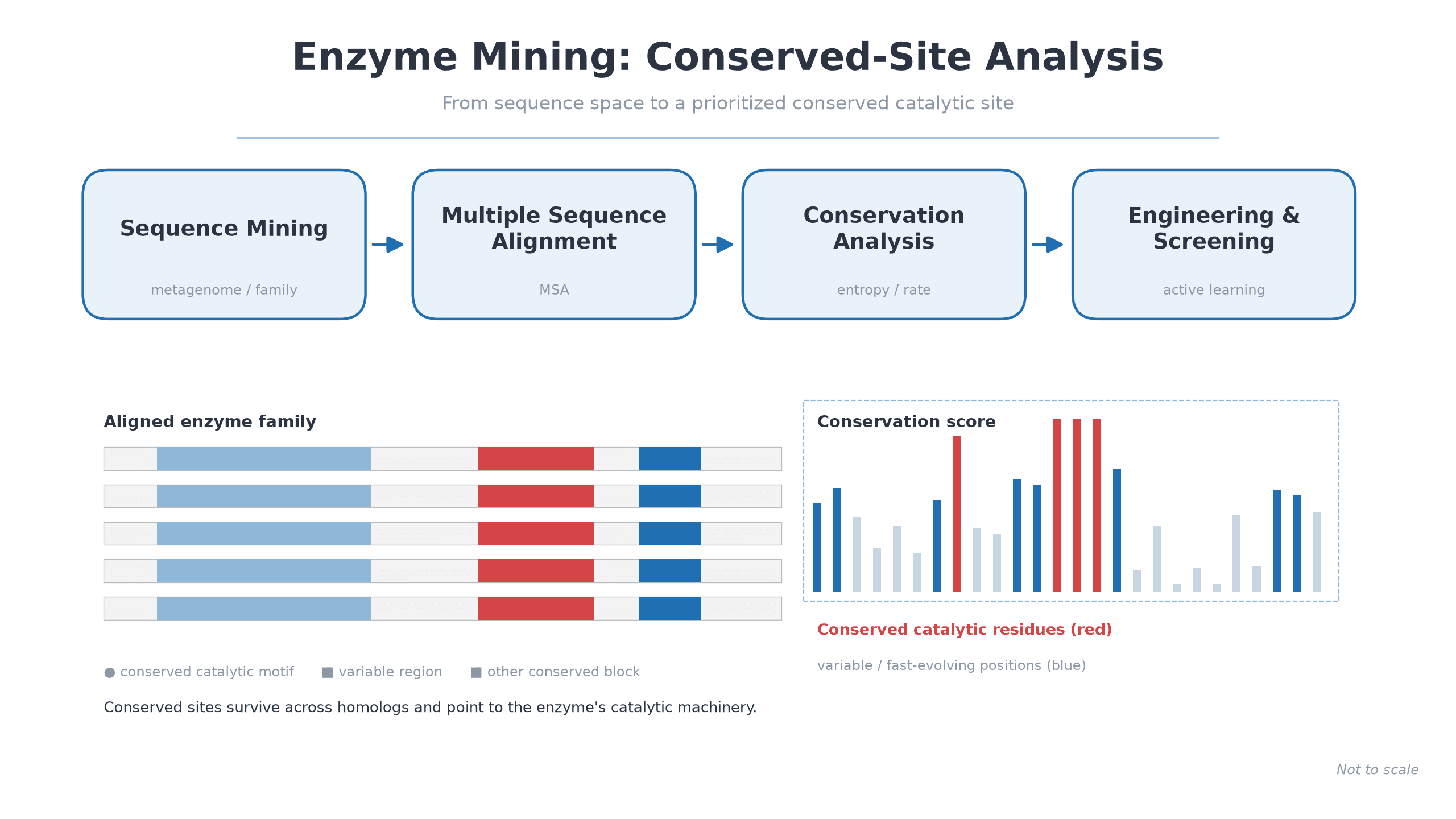 Why is conserved-site analysis the gateway to an enzyme's catalytic machinery in enzyme mining?