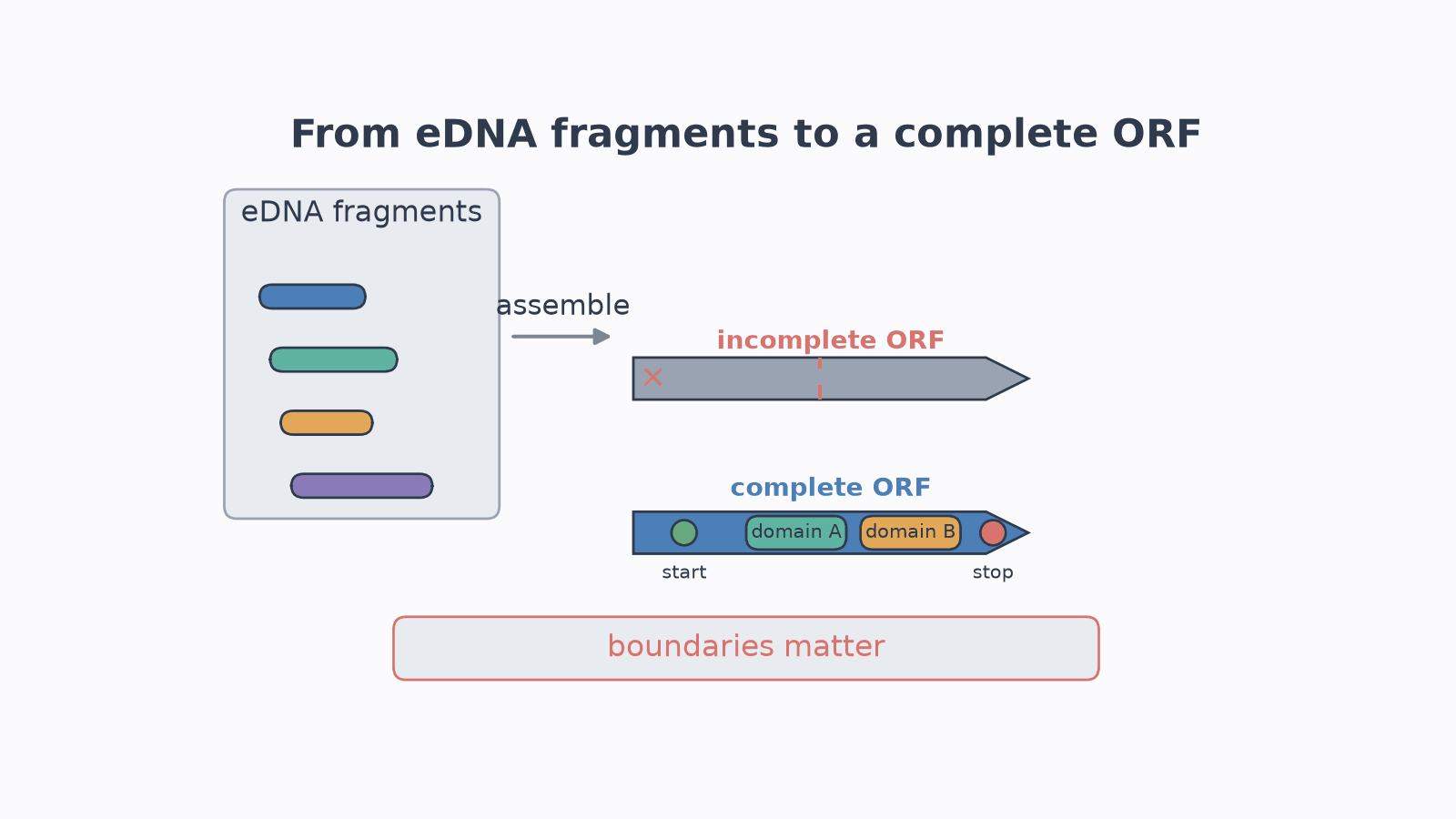 Enzyme Gene Mining: The Key Is Not Just Finding Homologous Sequences