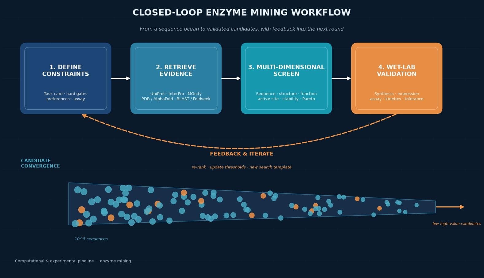 How Does a Complete Enzyme Mining Workflow Shorten the Candidate-Validation Path?