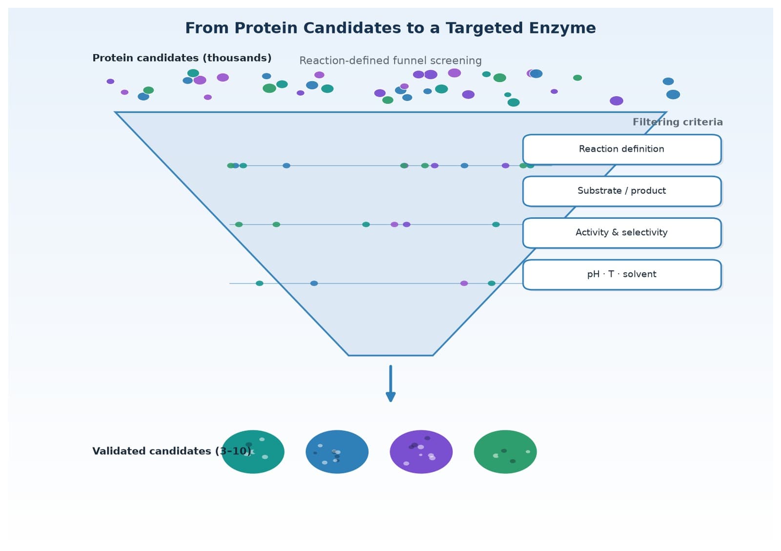 How to Screen a Target Reaction Enzyme: From Candidate Discovery to Experimental Validation