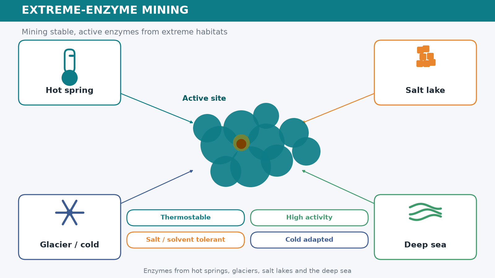 Extreme-Environment Enzyme Mining: Why Extreme Habitats Hold the Next Generation of Industrial Enzymes